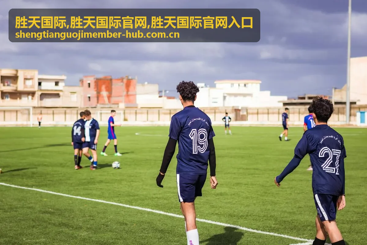 胜天国际官网入口示意图